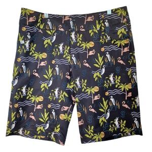 Wild Rye Womens 14 MTB Mountain Bike Shorts Tropical Flamingo Bird Print Black